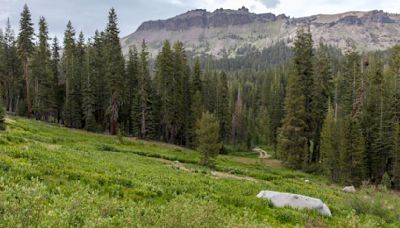 Sierra Nevada Brewing Co. Renews Commitment to Conservation with Continued Support of Trust for Public Land