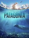 Patagonia: Life on the Edge of the World