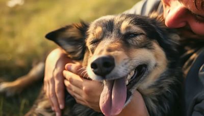 Día Mundial del Perro: ¿por qué se celebra este día y qué consejos seguir para mantenerlo saludable?