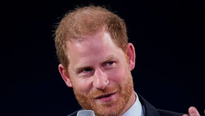 Prince Harry Reportedly 'Does Not Want His Royal Life Back' but He's Looking for Something More