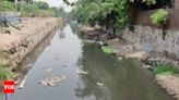 Expedite drain and sewer line cleaning, MCG officials told | Gurgaon News - Times of India