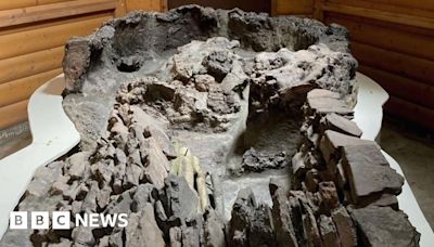 Highgate Wood: Ancient Roman kiln goes on display for first time