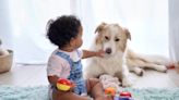 10 Best Dogs for Kids Under the Age of 5