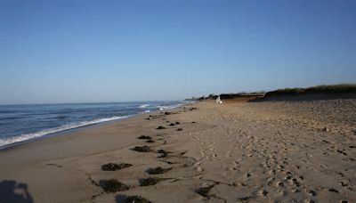 Billionaire forced to demolish Nantucket beach home