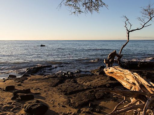 Hawaii tourist bitten by shark day after actor Tamayo Perry’s deadly shark attack