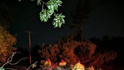 NWS confirms tornado tore through parts of Rhode Island Wednesday night. What to know.