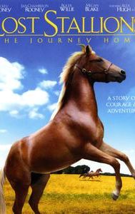 Lost Stallions: The Journey Home