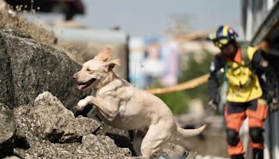 New Taipei Fire Department mourns death of rescue dog