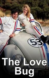 The Love Bug