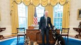 United States presidential dogs