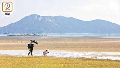 批花公帑設打卡點效果差淪笑話 葉劉：應改善大嶼山基建拓旅遊