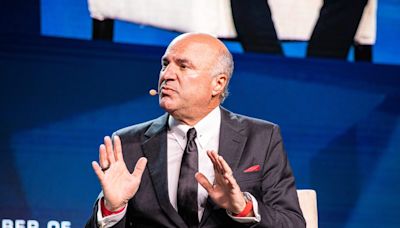 Shark Tank’s Kevin O’Leary tells couples to separate their finances no matter how in love they are