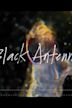 Alice in Chains: Black Antenna