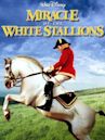 Miracle of the White Stallions