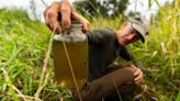 Bringing back ‘bio supermarkets’: Program helps landowners restore vanished wetlands