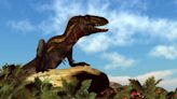 ‘Teenage T. rex’ fossils ‘are different predatory but nimbler dinosaur species’