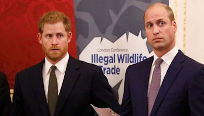 Prince Harry's personal swipe at Prince William as 'resemblance to Diana faded'
