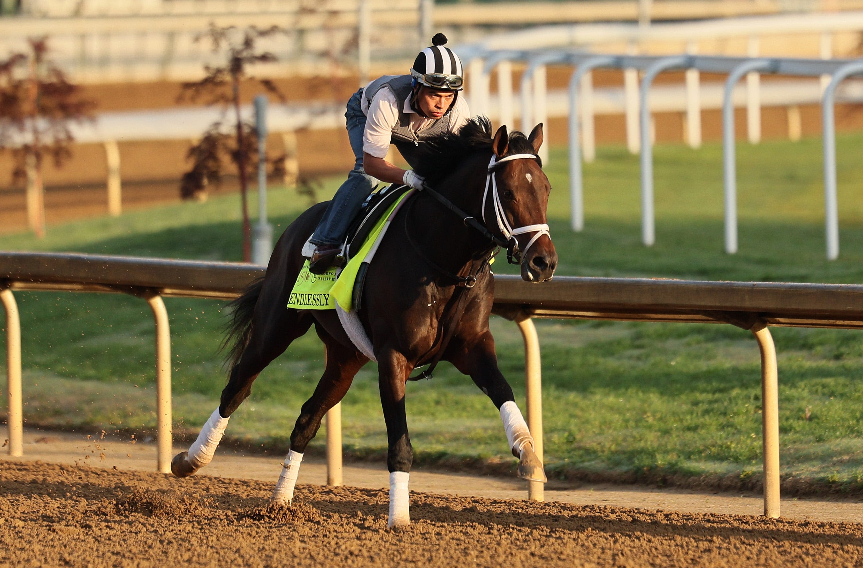 Endlessly jockey, trainer, odds and more to know about Kentucky Derby 2024 horse