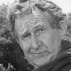 Doodles Weaver