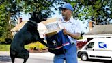 USPS releases list of states with highest number of dog attacks. Where does Florida rank?
