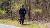 Gilgo case: Police expand Manorville search deeper into woods