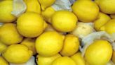 El gobierno tucumano afirmó que "hay 50 mil empleos en riesgo en la agroindustria del limón"