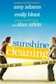 Sunshine Cleaning