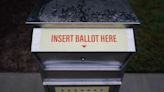 Georgia Voters Face Fresh Mail-In Ballot Hurdles in Senate Runoff