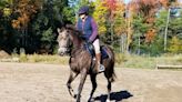 Rochester woman in Mongolia for Gobi Gallop, world's longest charity horse ride