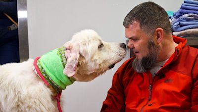 DeKalb’s animal shelter received 1,000 animals in July; its capacity is 475