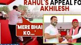 Rahul Gandhi Appeals Vote for Akhilesh Yadav in Kannauj, UP | AAP's Sanjay Singh Also Present