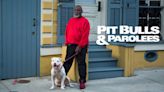 Pit Bulls & Parolees Season 17 Streaming: Watch & Stream Online via HBO Max