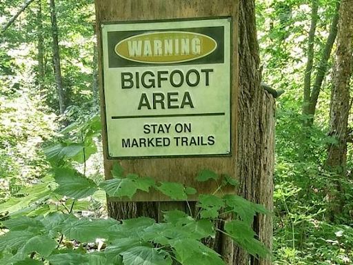 Pennsylvania Community Sees Sasquatch as Possible Answer to Tourism Woes | iHeart