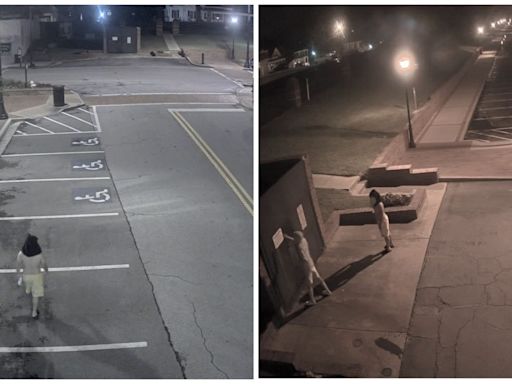 Two vandals wanted for vandalism in Buford involving racist language