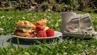 Mary Berry's scone recipe is an 'easy picnic bake' perfect British summertime