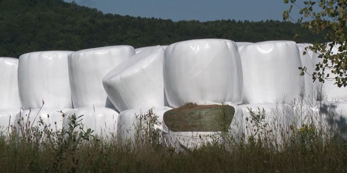 Family farm loses hay harvest after vandalism