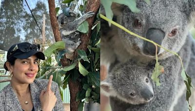 WATCH: Priyanka Chopra reacts as a koala bear in Australia is named after her, shares adorable video