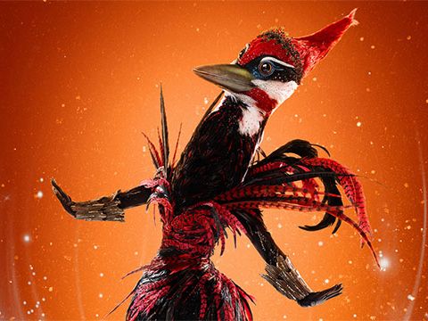 ‘The Masked Singer’ spoilers: Who is Woodpecker?