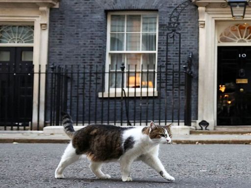 The story of 10 Downing Street’s most famous resident. And it’s not a PM