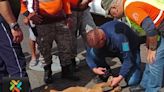 Más de 70 voluntarios rescatarán animales de la calle durante Romería 2024 | Teletica