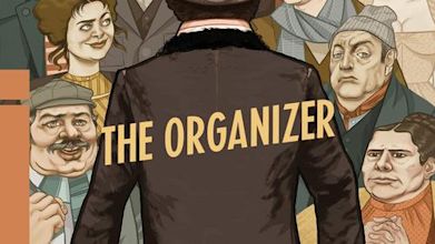 The Organizer