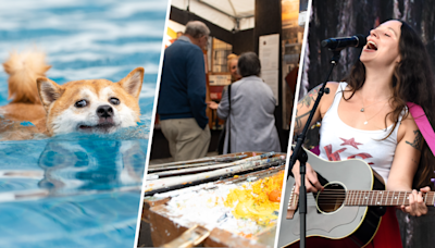 The Weekend Scene: Fall festivals galore, doggy swims and more to do in the DC area