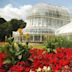 jardin botanique de Belfast