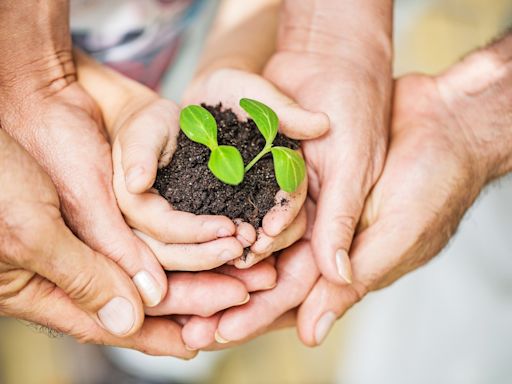 California recoge los frutos de su arduo trabajo para ser un estado “verde” - La Opinión