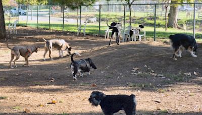 2 Southern California cities among top 5 for dogs in America