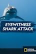 Eyewitness: Shark Attack