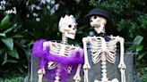 Laugh-Out-Loud Halloween Jokes That'll Tickle a Skeleton's Funny Bone