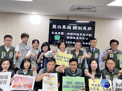 多數暴力？ 南市議會民進黨團批國民黨只派一人審預算太兒戲 | 蕃新聞