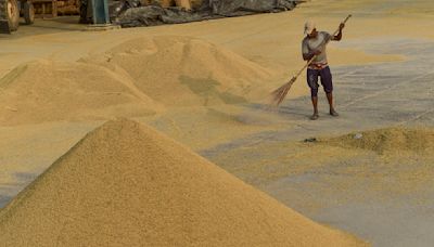 Season of discontent: As paddy procurement begins today, Punjab arhtiyas, mandi labourers proceed on strike