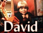 David (1988 film)